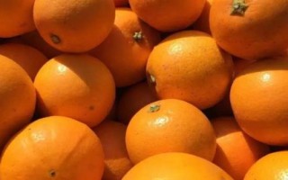 哪里产出的冰糖橙比较好吃，黔阳冰糖橙口感极佳