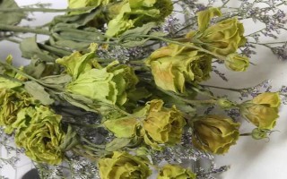 花朵发霉如何处理,可采取晾晒、制干、挖除霉菌等措施
