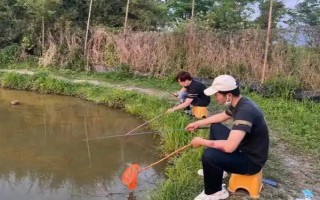 钓小龙虾用哪种肉，鸡肝、鸭肠、蚯蚓等饵料都是适宜选择