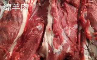 羊肉只涨不跌为何养羊户却不赚钱，养殖过程中出现损耗是重要原因