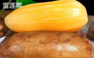 夏天水果保鲜方法,根据水果的种类采取保存措施