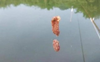 散炮饵料适合野钓吗，可以但也要分情况调整使用方法