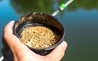 钓鱼好不好钓,与天气、饵料、钓点等相关