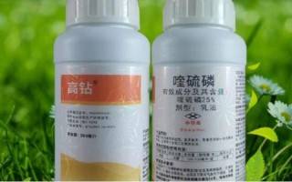 什么时候防治水稻二化螟效果好，通常为7月5日至7月20日