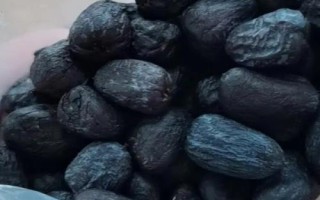 黑枣的产地,产于河北、山西、陕西等省份