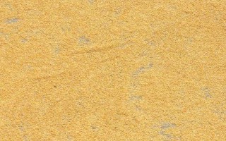 玉米播种前怎么浸种，以下4种方法均可使用