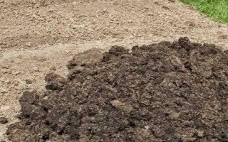 农家肥与化肥混用的好处,可以使养分供应更持久