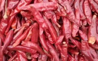 什么品种的干辣椒最辣、最香，推荐七星椒、子弹头、新一代等