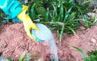 有机复合肥的作用,可以改良土壤物理、化学和生物特性等