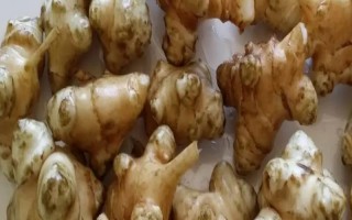 洋姜和生姜的区别，味道和用途均不同