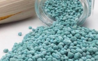 怎么养芙蓉花,夏季需要做好遮阴措施