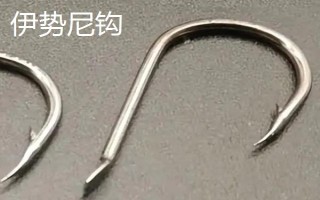为什么伊势尼钩最流行，伊势尼钩的拉力值大且适应性强