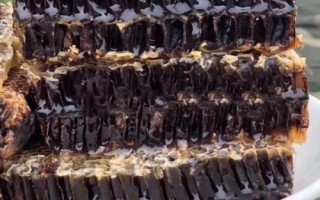 黑蜂蜜和椴树蜜哪种更好