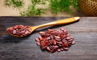 打瓜疫病的发病症状，茎基部发病初呈水渍状斑点