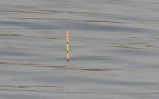 用蚯蚓钓鱼时应该如何调漂，可采用加铅、找底、剪铅等方式