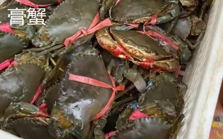 膏蟹和大闸蟹哪个更好吃，两个各有千秋