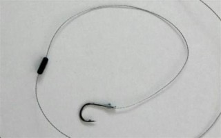 2.0号子线可以钓多重的鱼，确保质量能应付10斤以内的鱼类