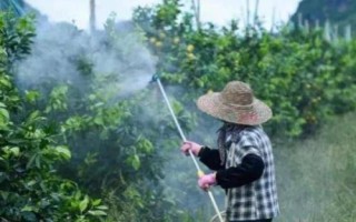 除草剂不管用的原因,气温、天气、土壤等对其都会有影响
