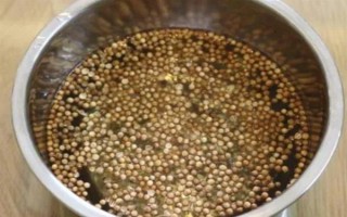 夏季蔬菜育苗要注意什么，及时分苗间苗可让秧苗更粗壮