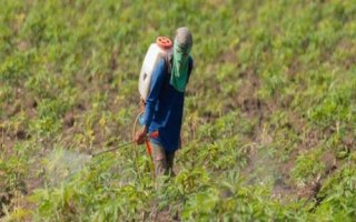 啶虫哒螨灵有什么特点,毒性低、根部渗透性良好