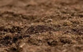 改良碱性土壤的物质是什么，有硫酸亚铁、磷石膏等