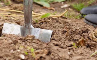 绿叶宝肥料怎么使用，撒施或翻耕土壤再施入、也可兑水喷雾