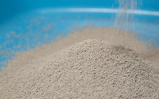 猫和人能否一起睡觉，容易产生打扰睡眠、感染寄生虫和真菌等问题