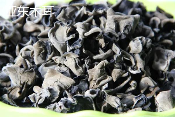 西藏日喀则市有什么特产，亚东木耳具有很高的知名度