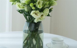 怎么养洋桔梗，通常采用水养的方法