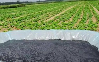 沼液能直接用于水培蔬菜吗,不可以直接用于水培蔬菜