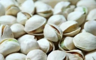 开心果是银杏果吗，二者是完全不同的品种