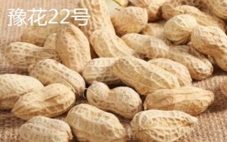 花生的价格,不同地区的售价各有区别