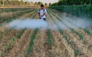 啶虫哒螨灵有什么特点,毒性低、根部渗透性良好