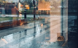 元宵节有什么相关的谚语,八月十五云遮月、正月十五雪打灯