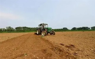 天冬的价格，大概在22-35元一斤