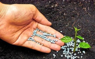 磷肥施用方案，要因土施用