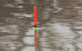 傍晚好钓鱼吗，温暖季节的傍晚好钓鱼