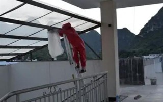 捅了马蜂窝过多长时间会飞走,小型马蜂可能经过1-2小时就会离开