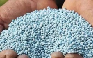 氮元素是什么肥料，通常是一种氮肥