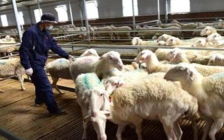 畜禽标识和养殖档案管理办法的内容，在我国境内从事相关生产等活动都要遵守