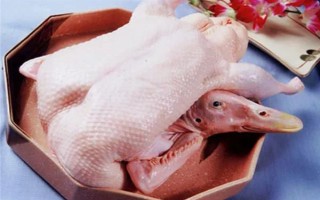 为什么白条鸭那么便宜，因为其是速成鸭