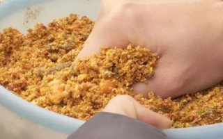 钓鲢鳙鱼的方法，是典型的滤食性鱼类