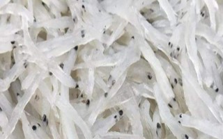 丹江口市银鱼的产地，产地主要在湖北十堰丹江口市