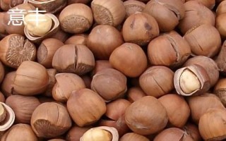 榛子的种植前景,市场需求大、种植后收益较可观