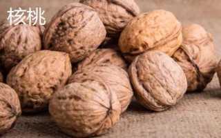 山核桃和核桃的区别，生长环境和产地均不同