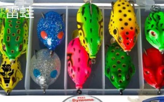 钓黑鱼用假饵好还是真饵好,新手建议尽量用真饵