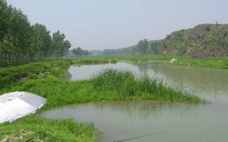 怎么钓5斤以上大罗非鱼，可用手竿亦可用海竿或矶竿