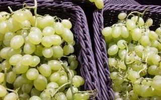 早熟的葡萄品种，常见的有夏日阳光、夏黑等