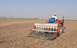 小麦种晚了覆盖塑料膜有没有用，可提高土温让小麦安全越冬