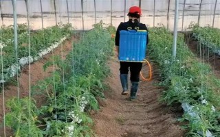 氯吡脲有什么作用，能起到促进作物生长、提高产量等效果